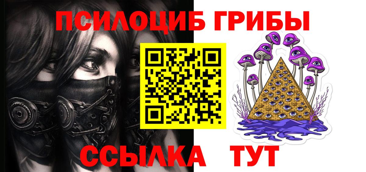 Каменка  Галлюциногенные грибы Cubensis  Вход с VPN 