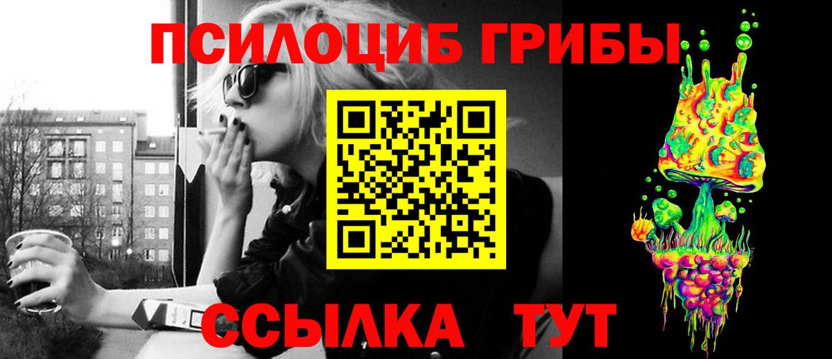 Галлюциногенные грибы Cubensis Каменка